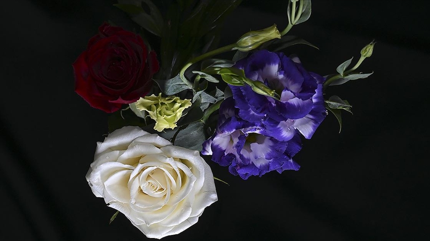 Yılbaşı için 12 milyon dolarlık çiçek ihracatı