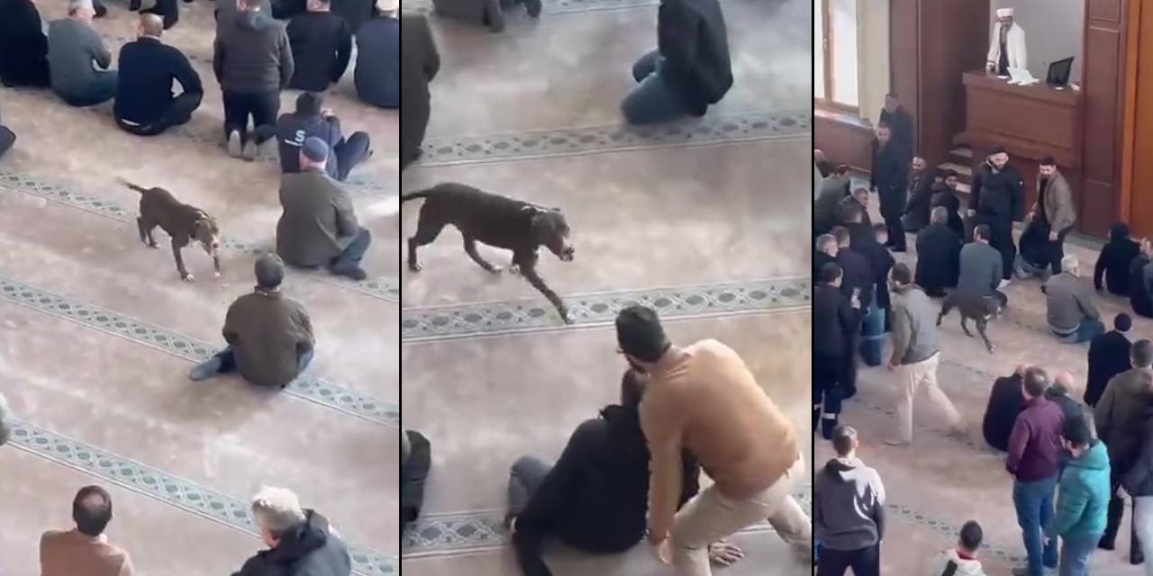 Camide korkutan anlar: Pitbull içeriye girdi