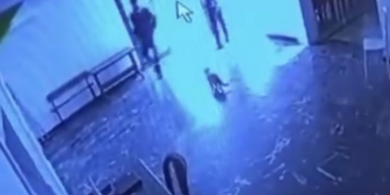VİDEO - Kediye atılan tekme kameralara yansıdı