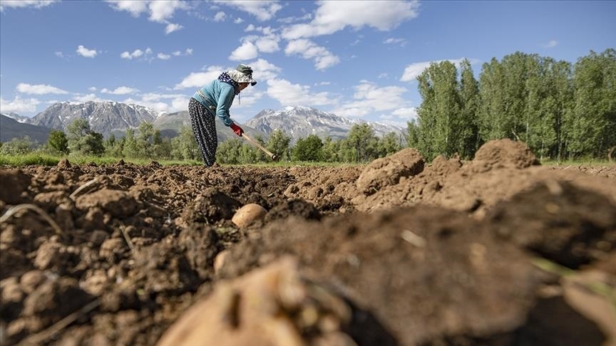 Tarımsal işletmelere 2,2 milyar lira hibe desteği
