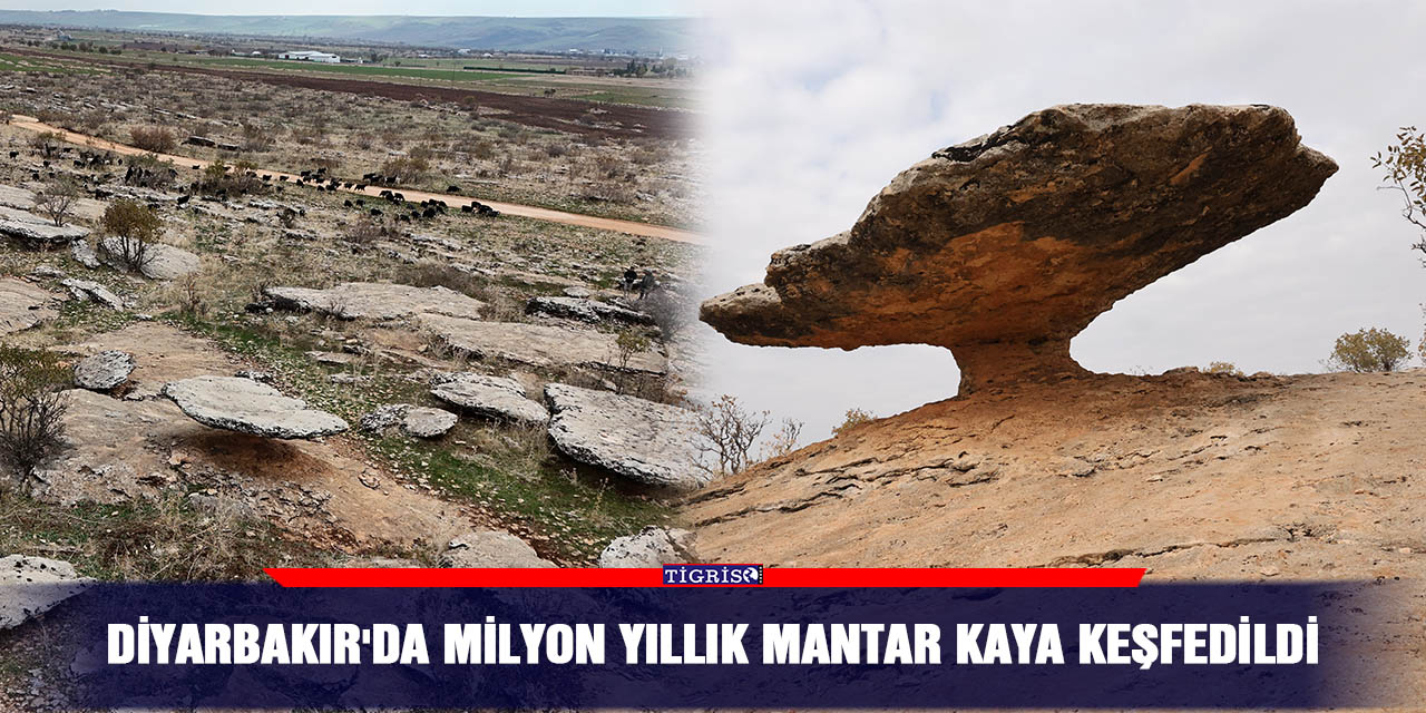 Diyarbakır'da milyon yıllık mantar kaya keşfedildi