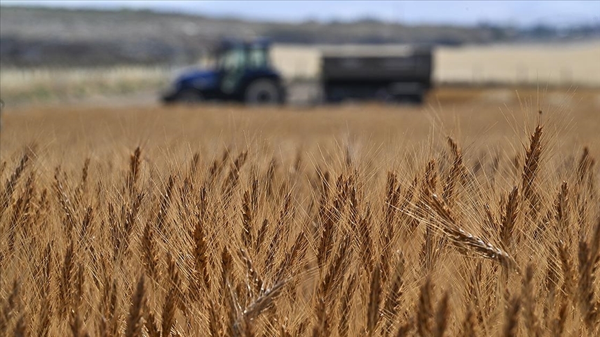 Tarımsal girdi fiyat endeksi arttı