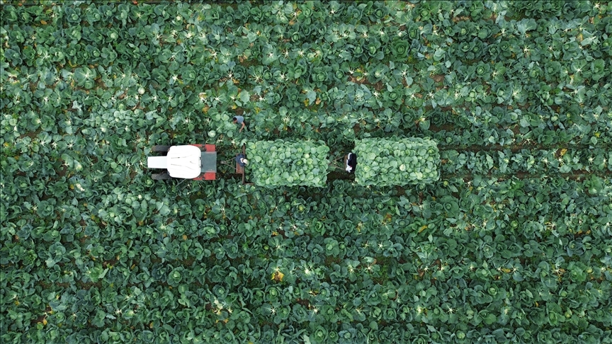 “Çiftçi Kayıt Sistemi'ne başvurmak için son tarih 31 Aralık”