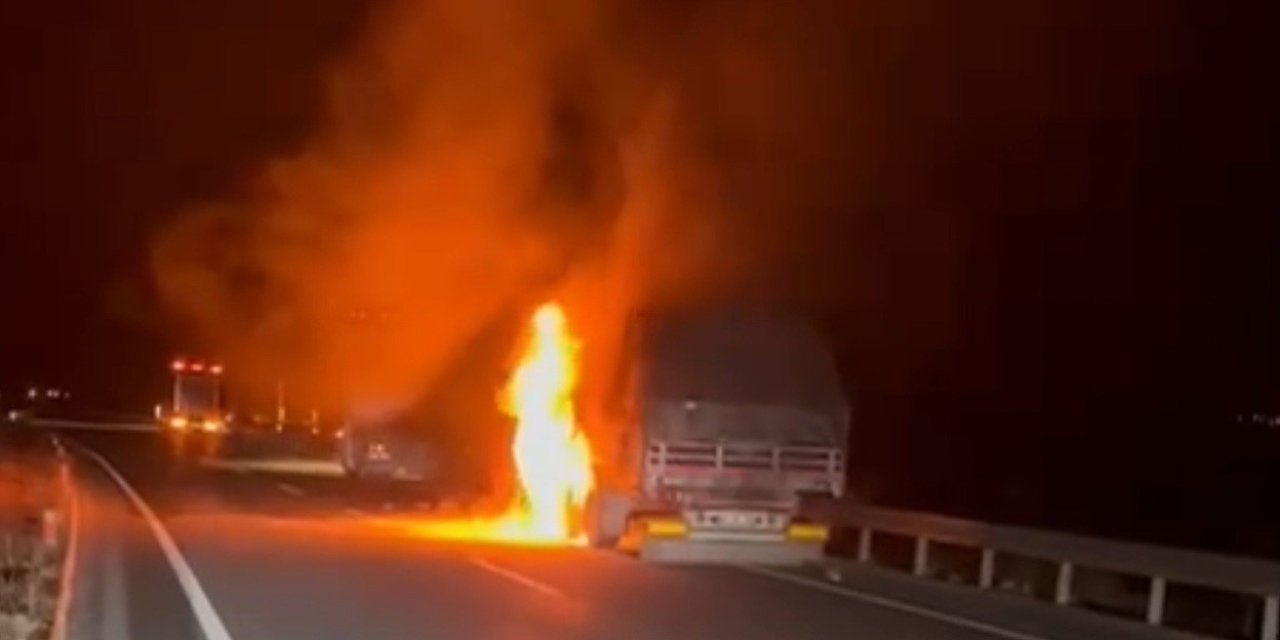 Seyir halindeki tır alev alev yandı