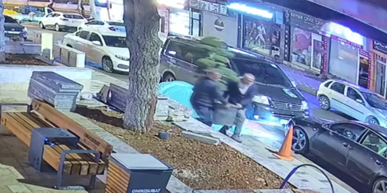 Parktaki ağacı çaldılar