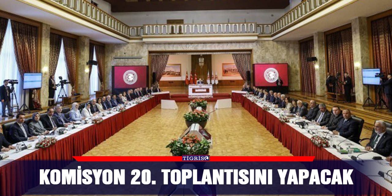 Komisyon 20. Toplantısını yapacak