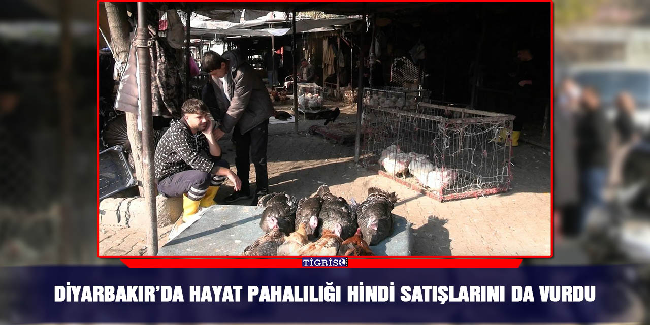 Diyarbakır’da hayat pahalılığı hindi satışlarını da vurdu