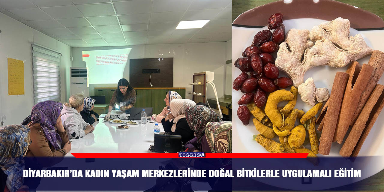 Diyarbakır’da kadın yaşam merkezlerinde doğal bitkilerle uygulamalı eğitim