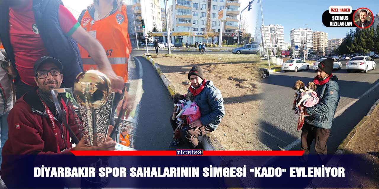 Diyarbakır spor sahalarının simgesi "Kado" evleniyor