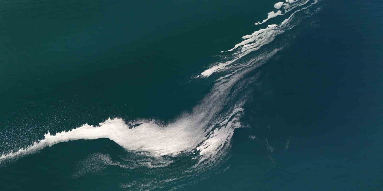 Van Gölü yüzeyindekiler şaşırttı