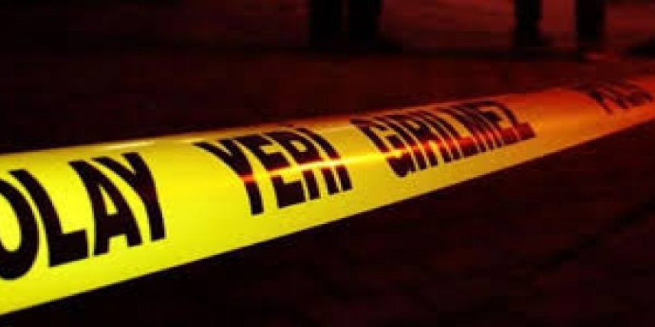 Van'da kardeş kavgasında kan aktı: Kardeşini öldürdü