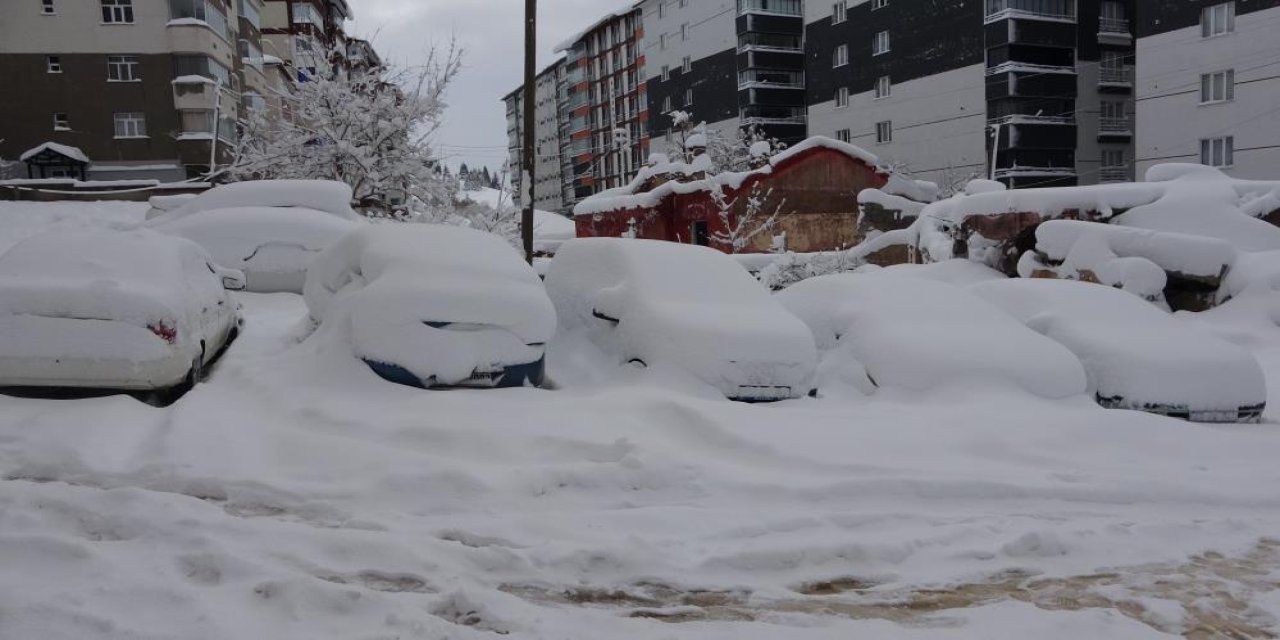 Bitlis'te arabalar ve tek katlı evler kara gömüldü