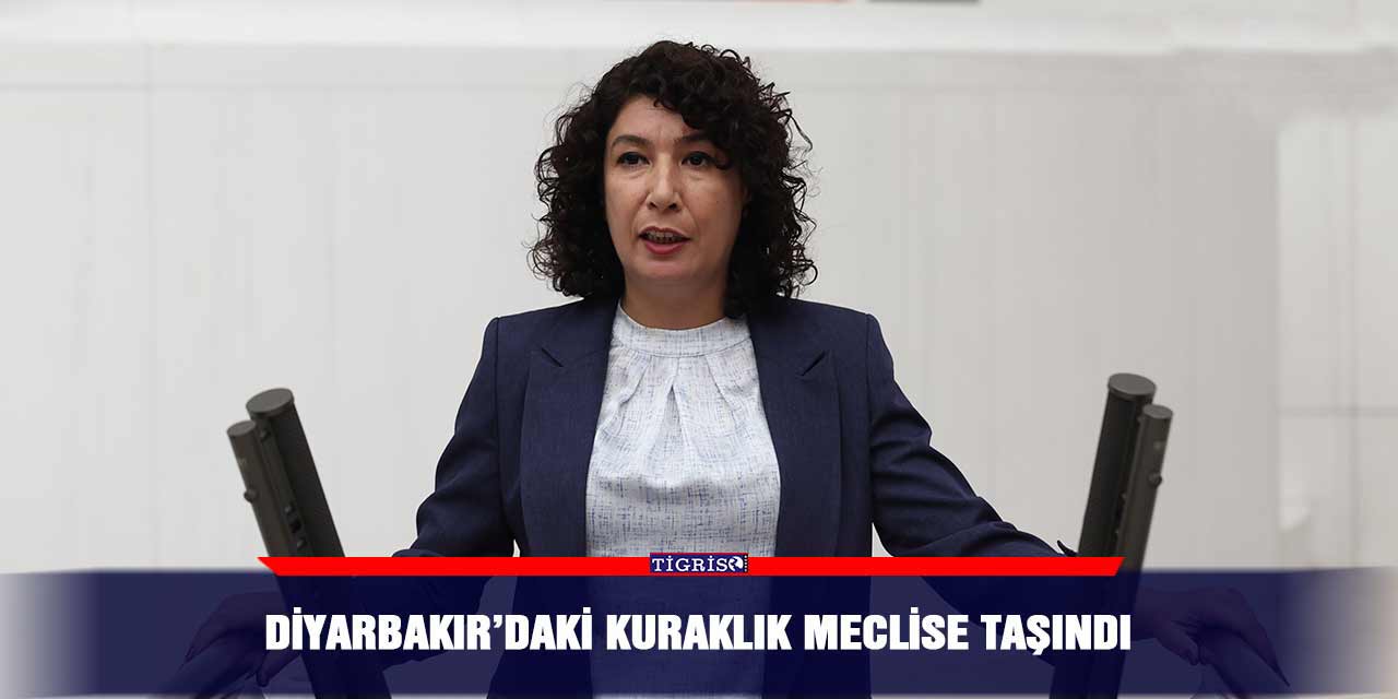 Diyarbakır’daki kuraklık Meclis'e taşındı