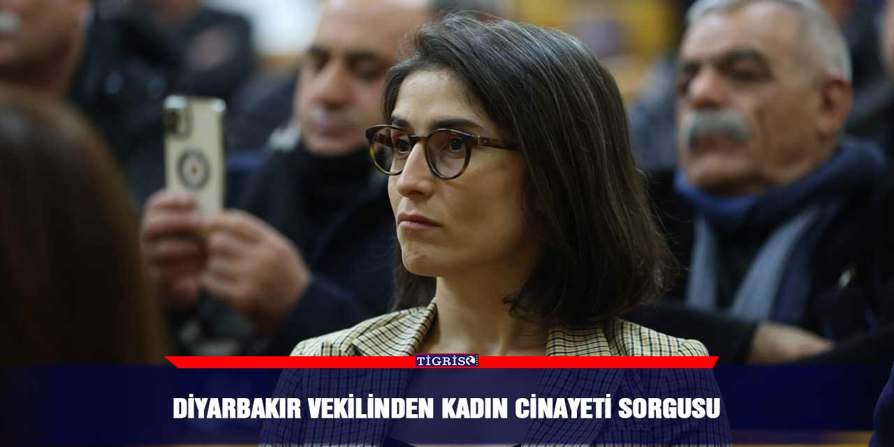 Diyarbakır vekilinden kadın cinayeti sorgusu