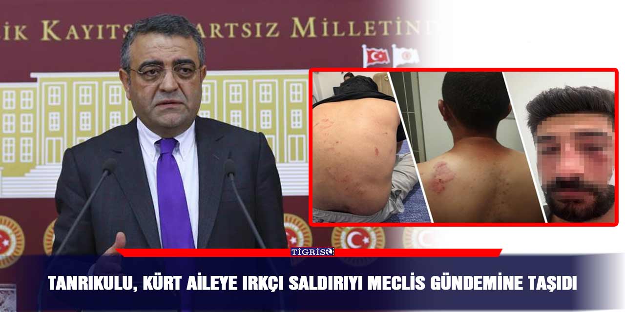 Tanrıkulu, Kürt aileye ırkçı saldırıyı Meclis gündemine taşıdı