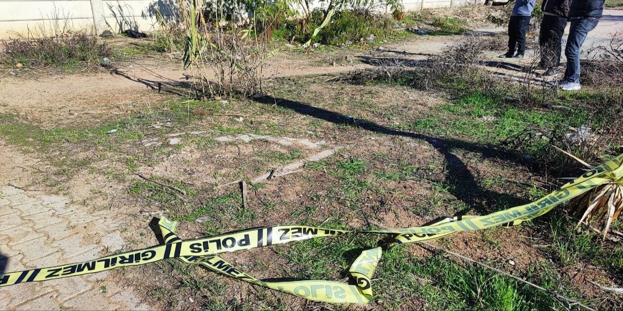 Bir kadın yol kenarında ölü bulundu