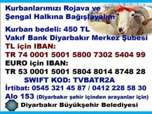 ‘Bu yıl kurbanlar Şengal ve Rojava'ya'