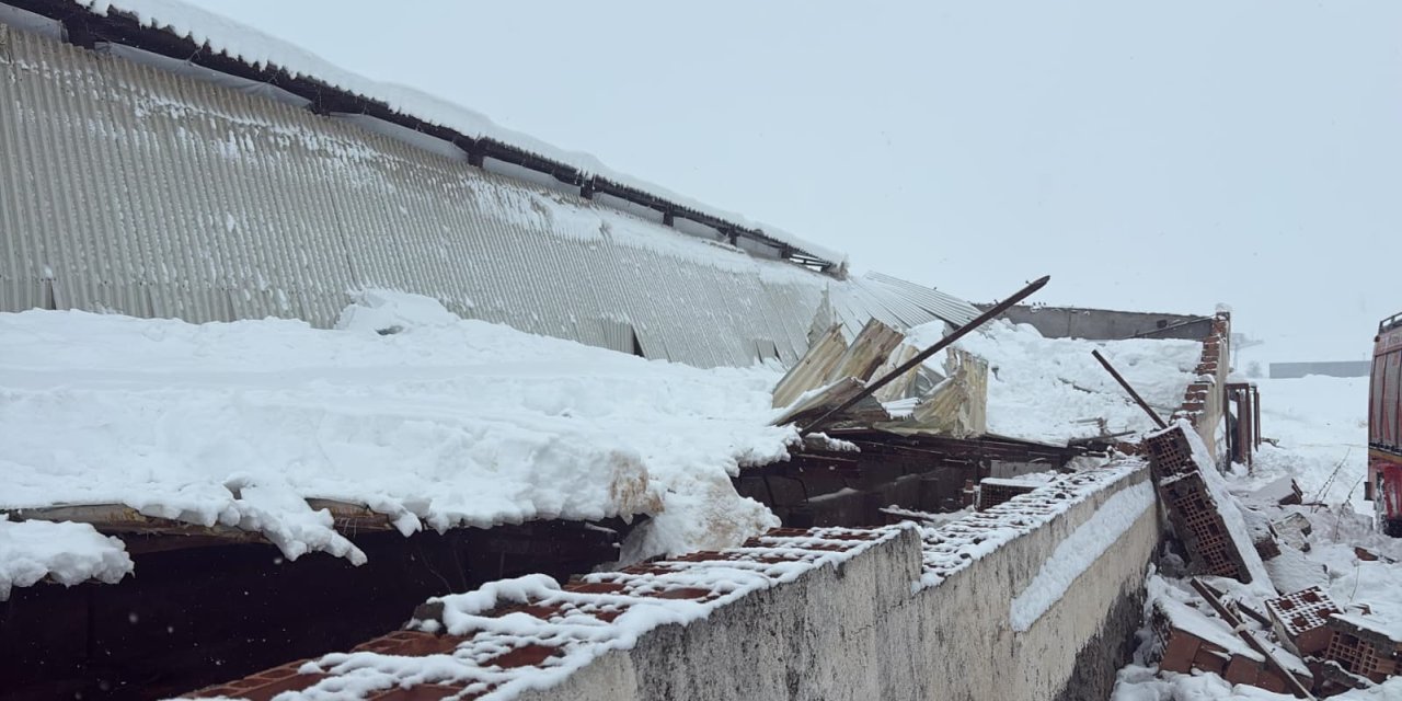 Diyarbakır'da ahır çöktü, 11 büyükbaş telef oldu