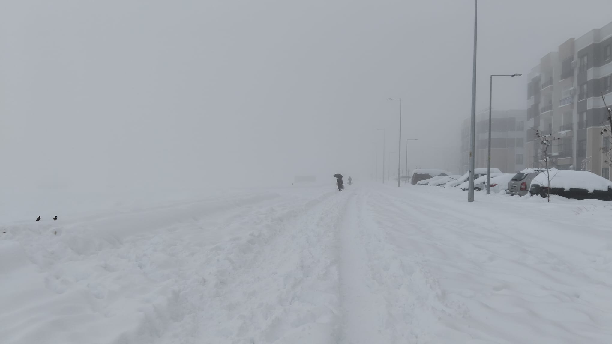 Diyarbakır’da kar kuşatması: Oğlaklı TOKİ’de yaşam felç