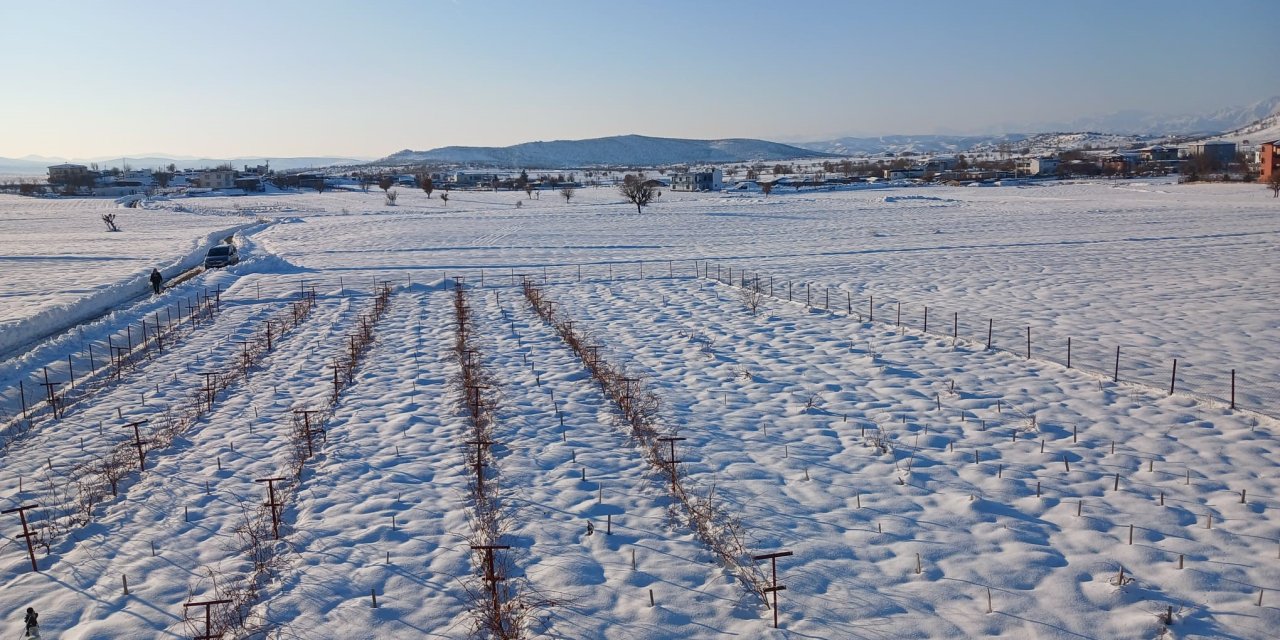 Diyarbakır'da kar yağışı çiftçiye umut oldu