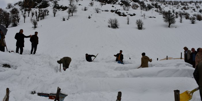 Çığ altında kalan arı kovanları kurtarıldı