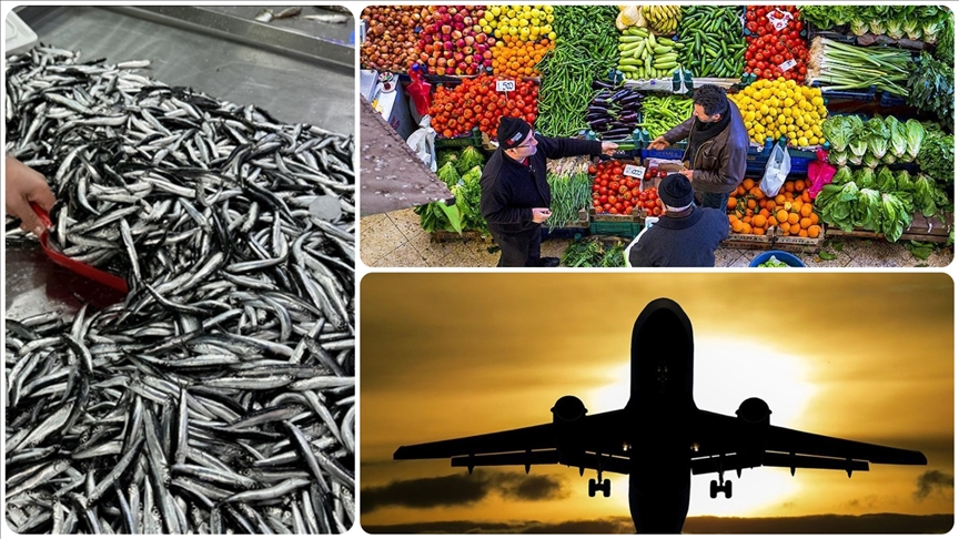 Aralık’ta fiyatı en fazla artan ve en çok düşen ürünler  açıklandı