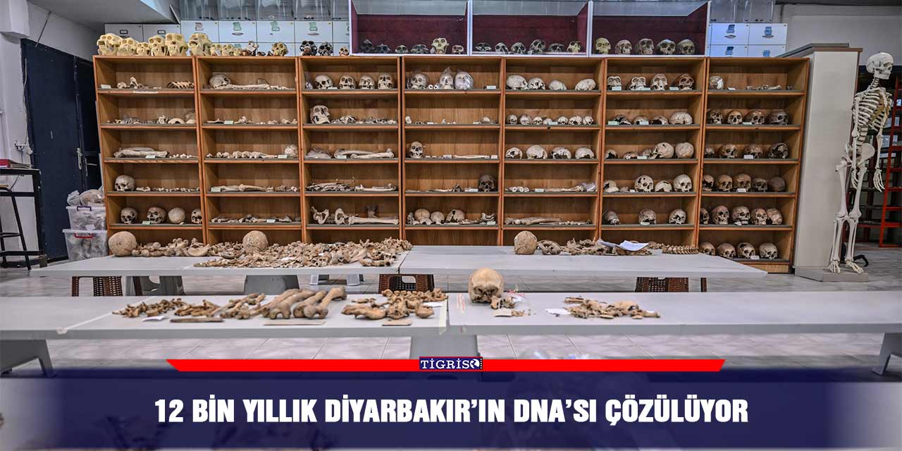 12 bin yıllık Diyarbakır’ın DNA’sı çözülüyor