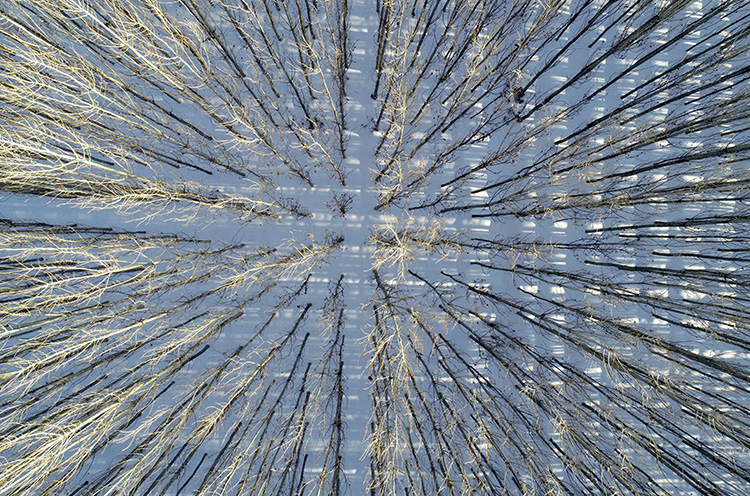 Mardin'de Savur Çayı havzası karla kaplandı