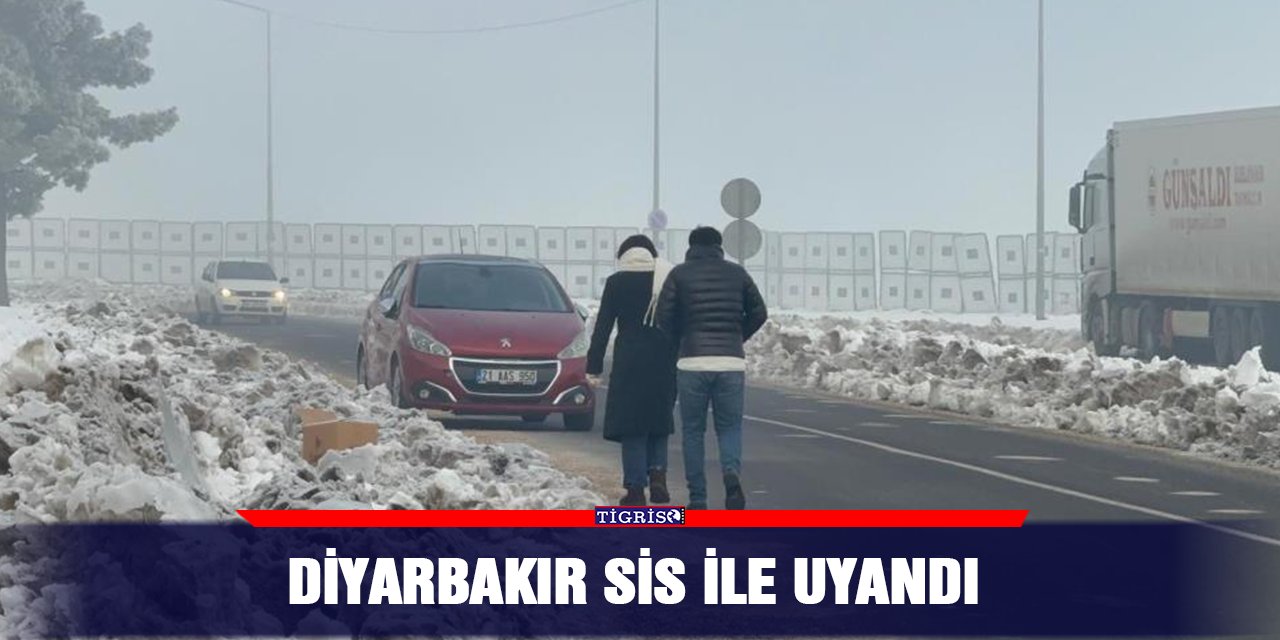 Diyarbakır sis ile uyandı