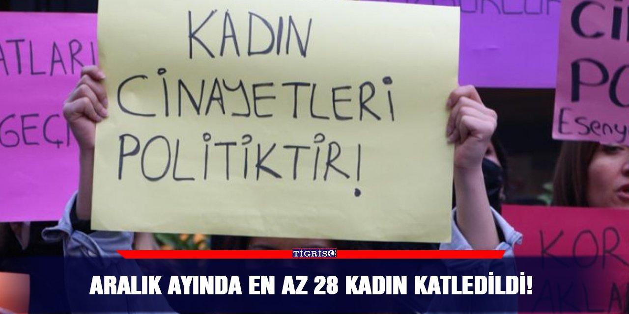 Aralık ayında en az 28 kadın katledildi!