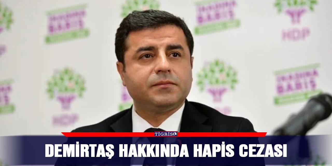 Demirtaş hakkında hapis cezası