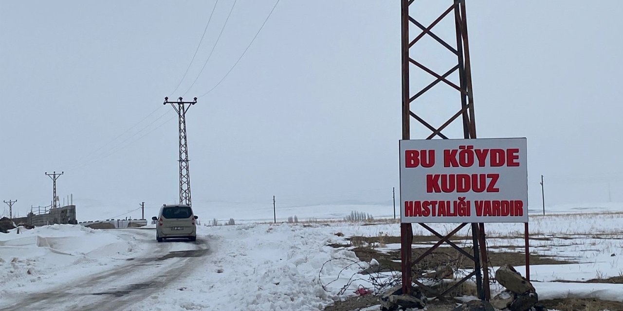 Bitlis’te kuduz alarm