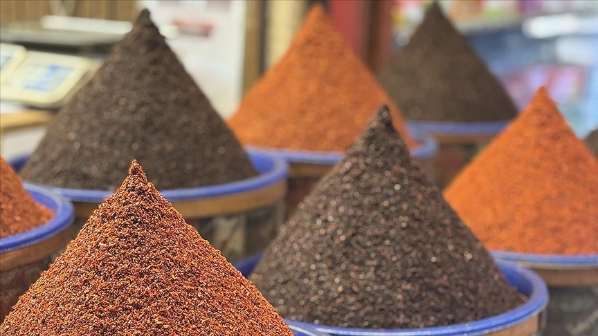 14,1 milyon dolarlık pul biber ihracatı yapıldı