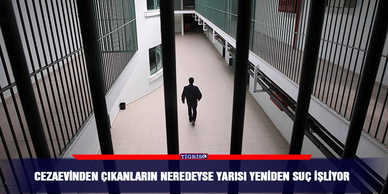 Cezaevinden çıkanların neredeyse yarısı yeniden suç işliyor