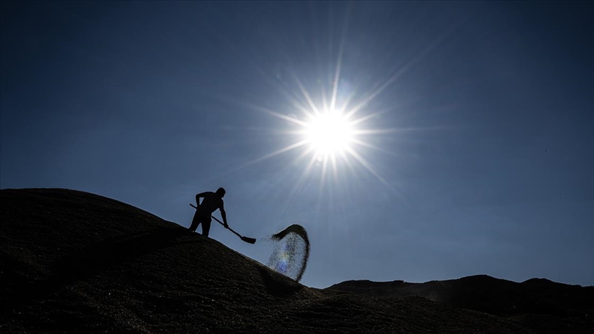 Isınan hava tarımda verim kaybını artırıyor