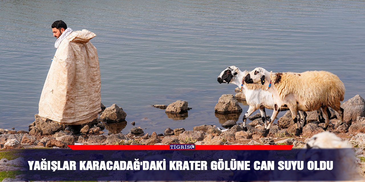Yağışlar Karacadağ'daki krater gölüne can suyu oldu