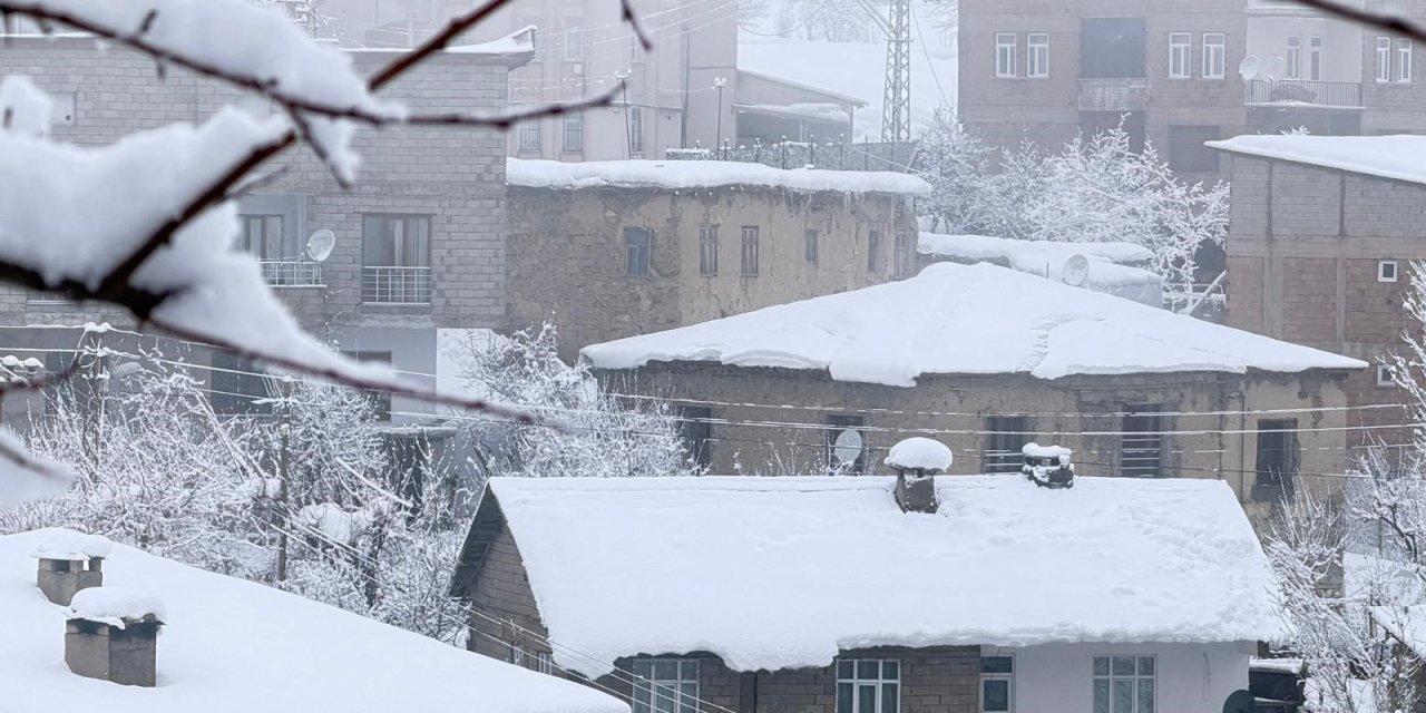 Hakkari’de 160 köy ve mezra yolu ulaşıma kapandı