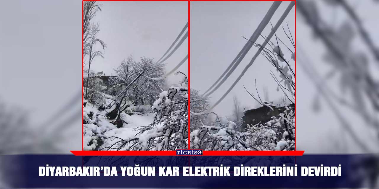 Diyarbakır’da yoğun kar elektrik direklerini devirdi