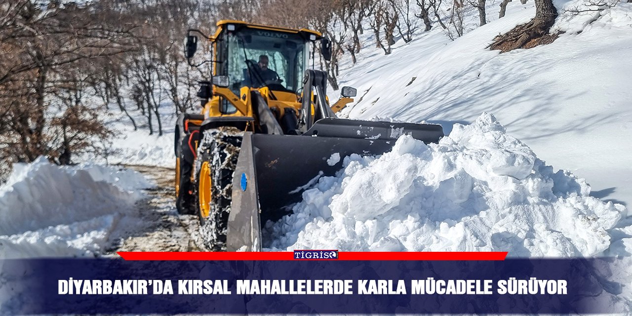 Diyarbakır’da kırsal mahallelerde karla mücadele sürüyor