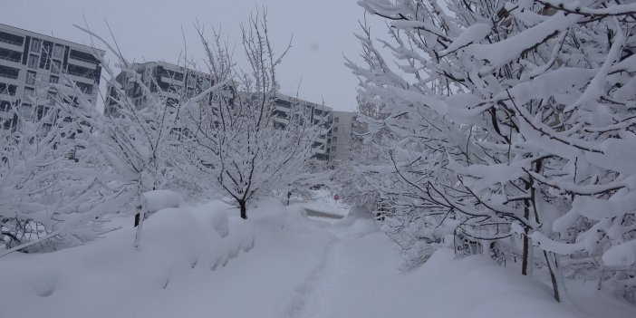 Bitlis’te kar yağışı hayatı durma noktasına getirdi