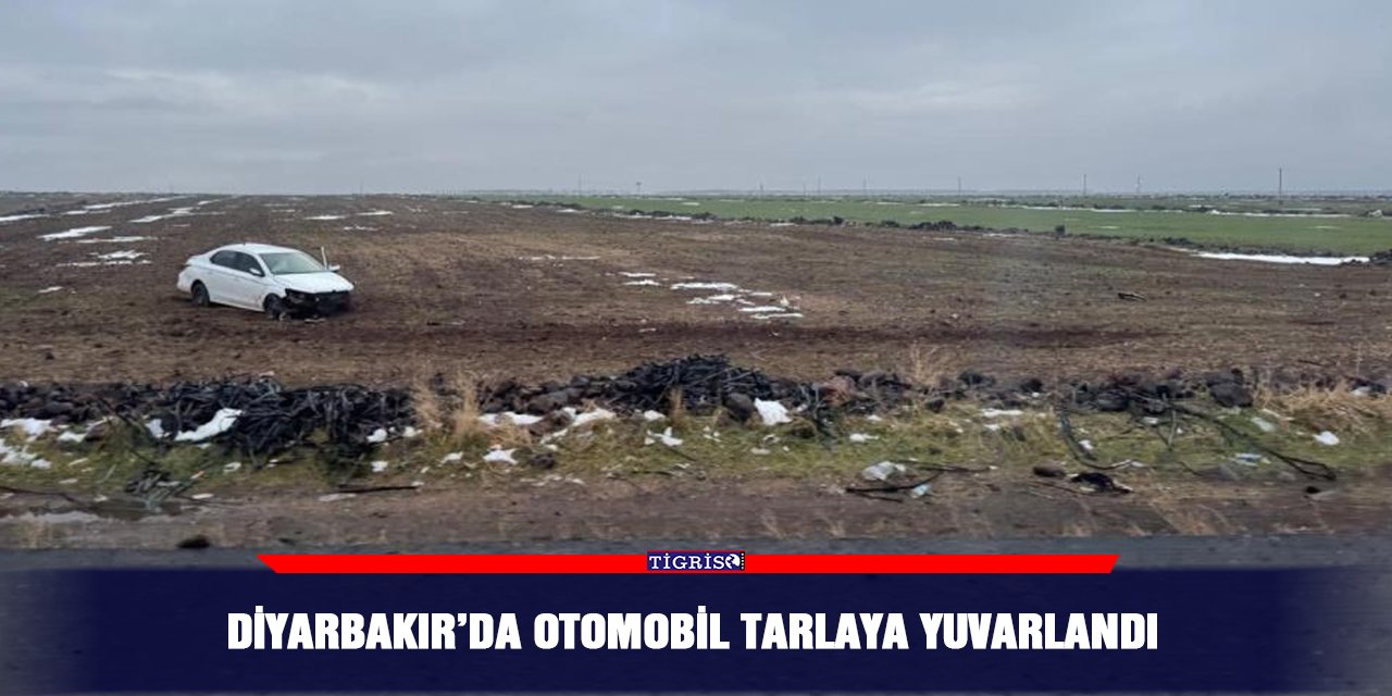 Diyarbakır’da otomobil tarlaya yuvarlandı