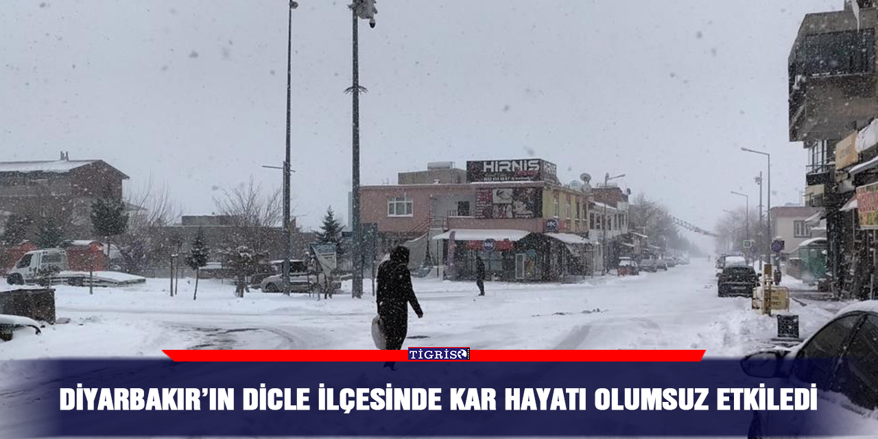 Diyarbakır’ın Dicle ilçesinde kar hayatı olumsuz etkiledi