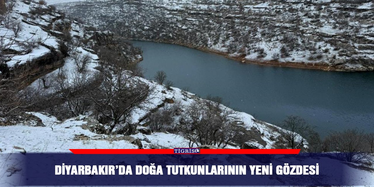Diyarbakır’da doğa tutkunlarının yeni gözdesi