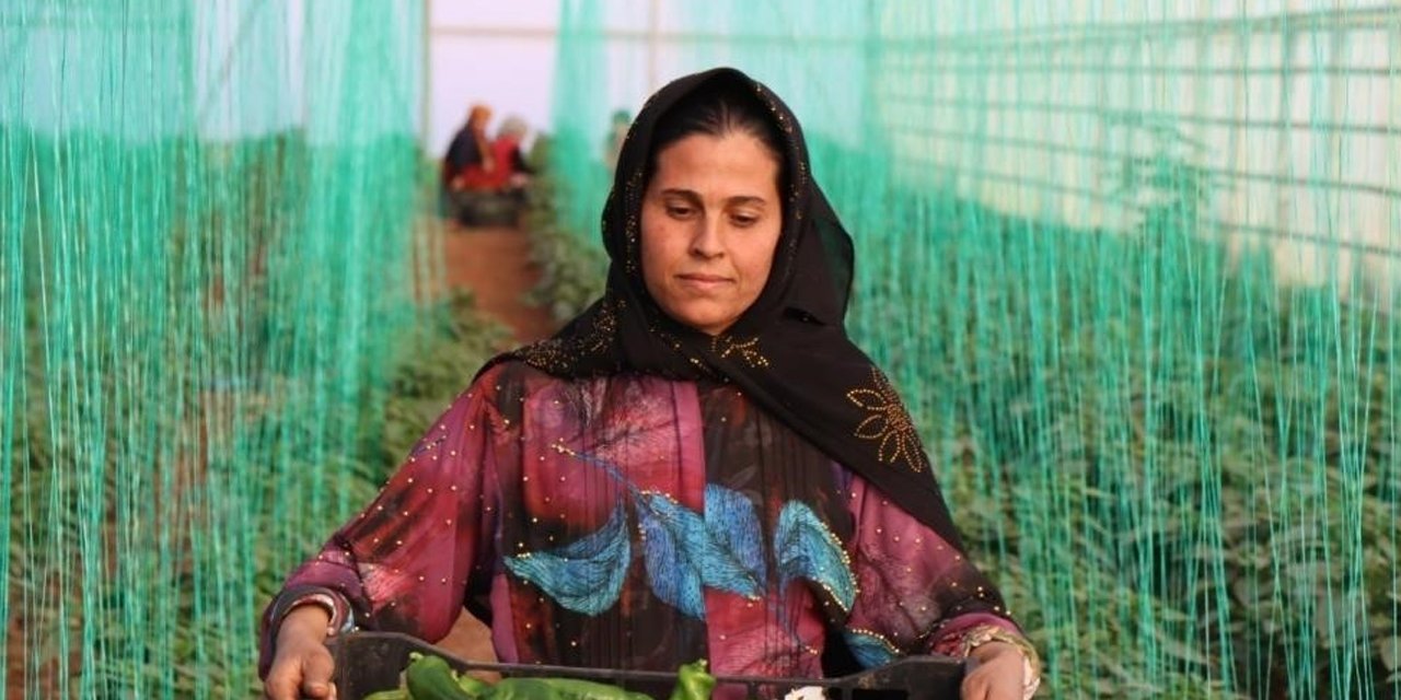 Tarım-GFE yıllık yüzde arttı