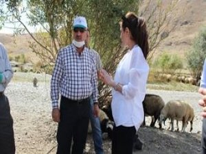 İnsanların sağlığı için, hayvanların sağlığı