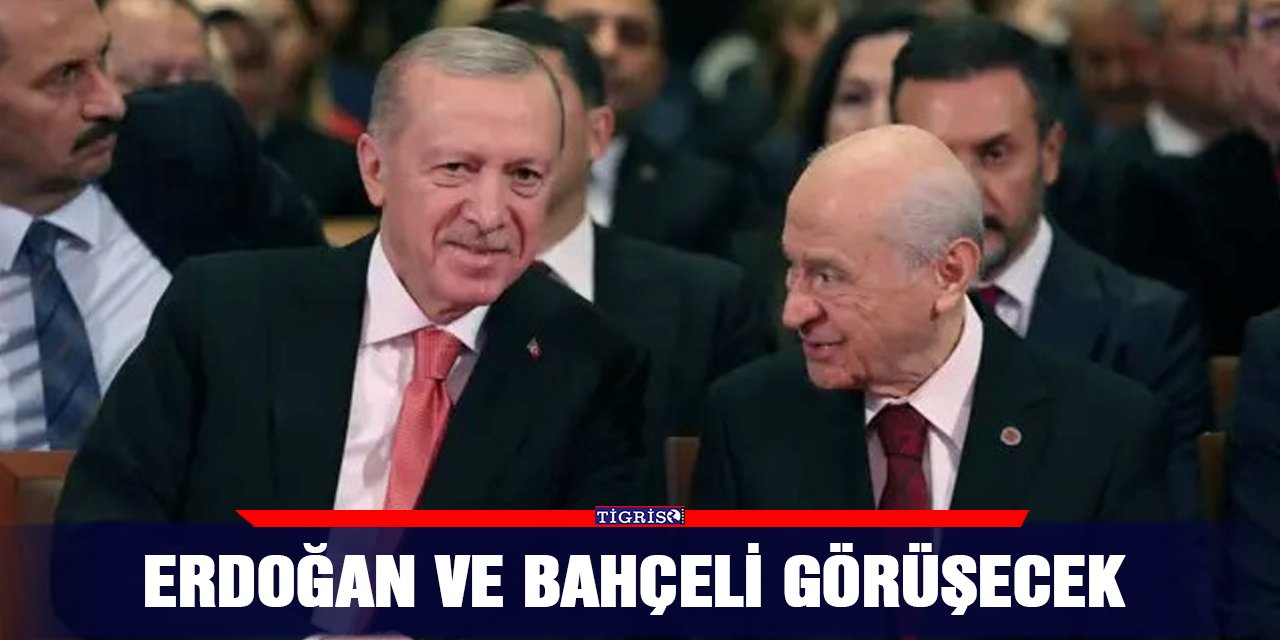 Erdoğan ve Bahçeli görüşecek