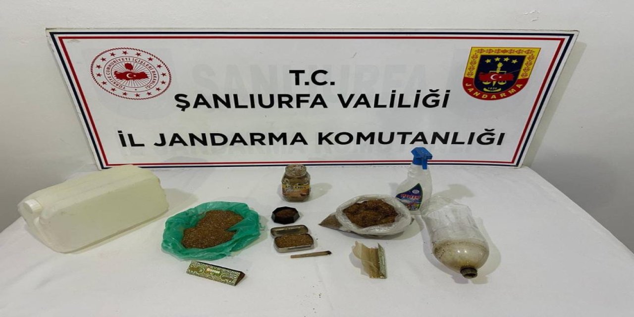 Uyuşturucu operasyonu: 9 gözaltı