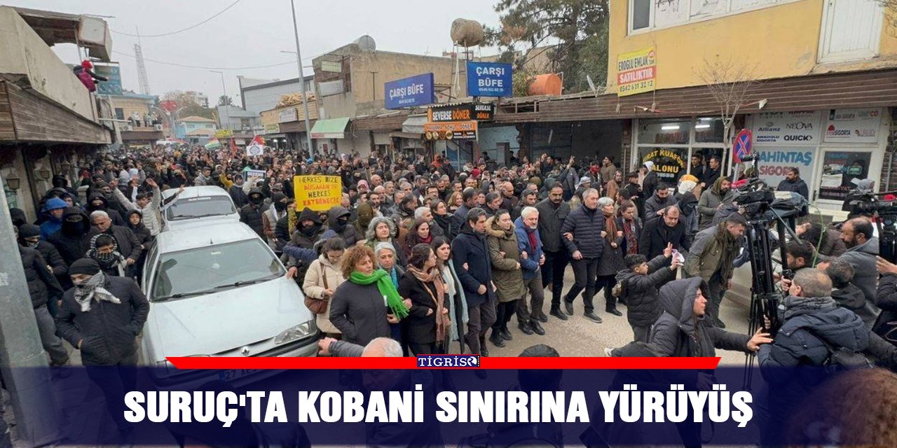 Suruç'ta Kobani sınırına yürüyüş