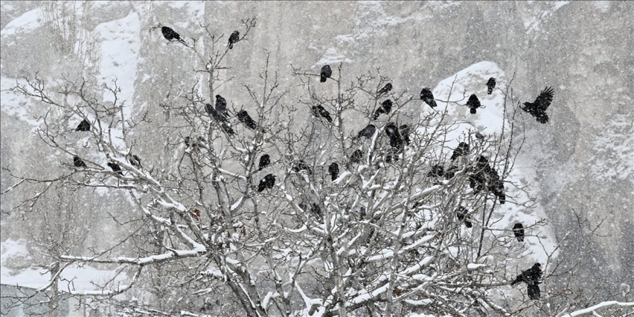Türkiye’de aralık ayının en sıcak ve en soğuk illeri belli oldu
