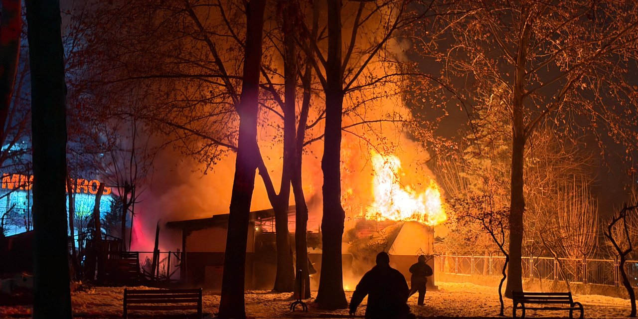 Diyarbakır’da korkutan yangın